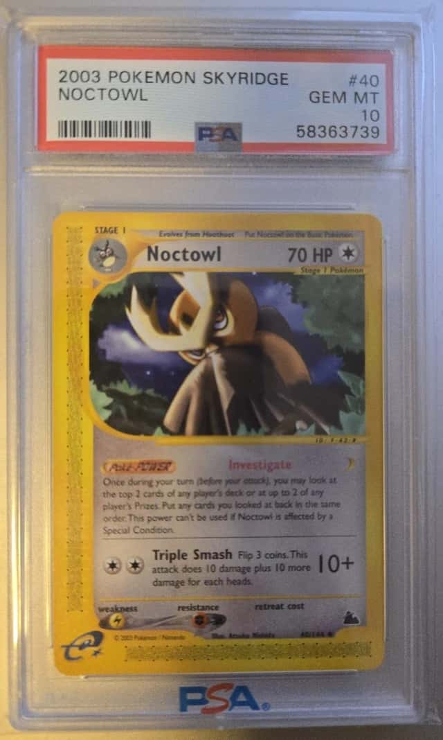 Noctowl