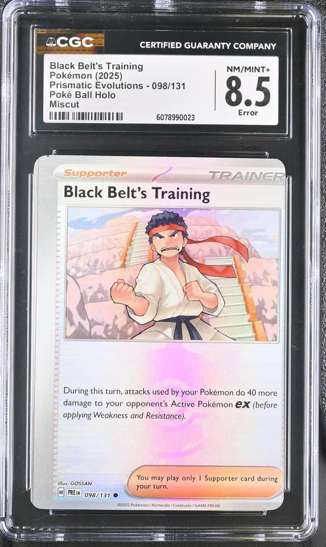 Black Belt's Training