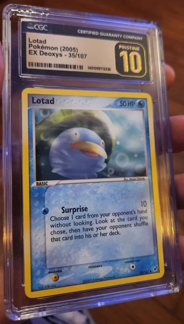 Lotad
