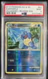 Wartortle