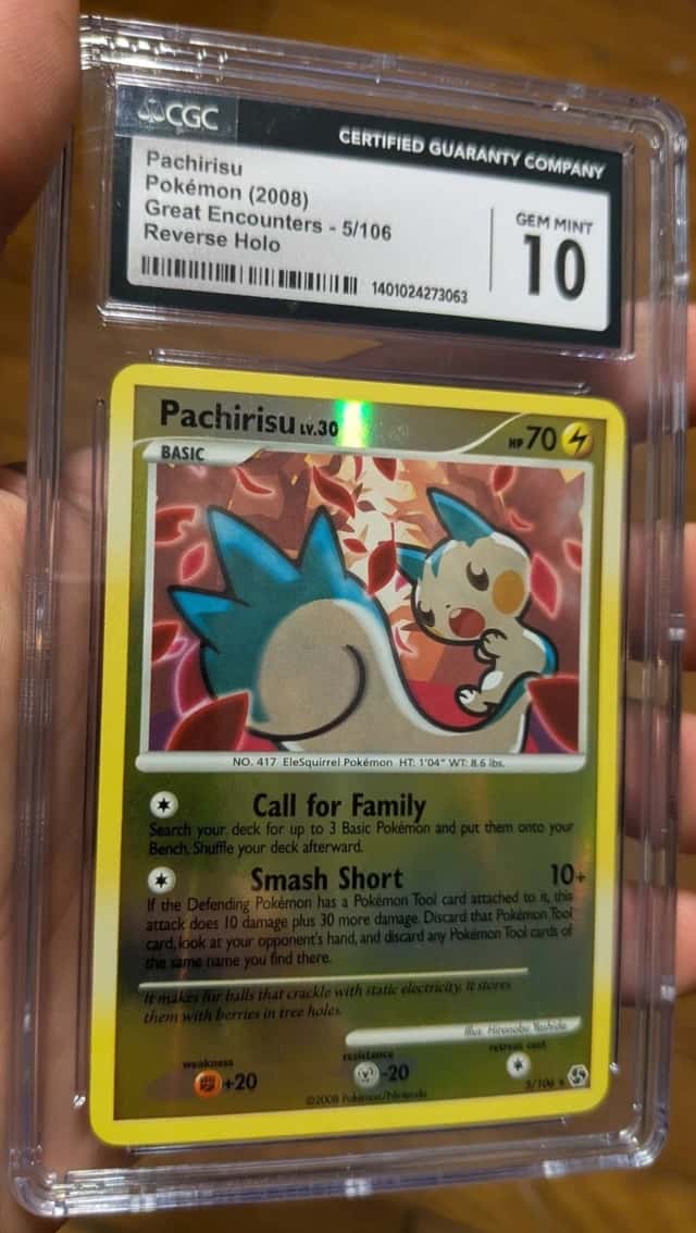 Pachirisu