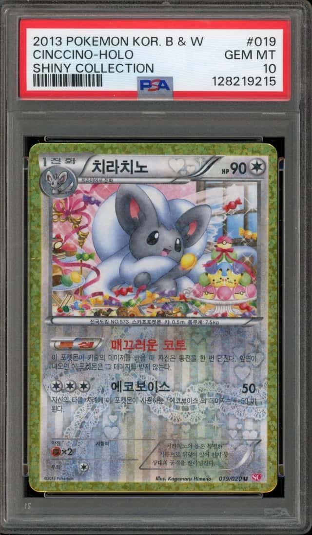 Cinccino