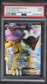 Raikou Ex