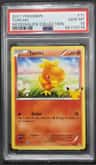 Torchic