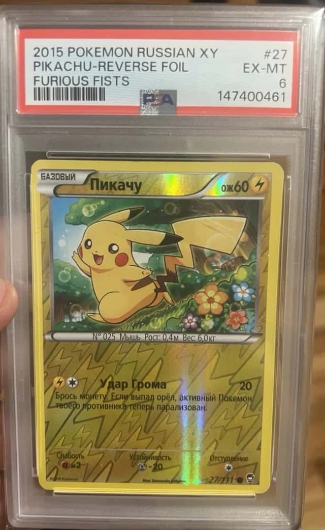 Pikachu-Furious Fists