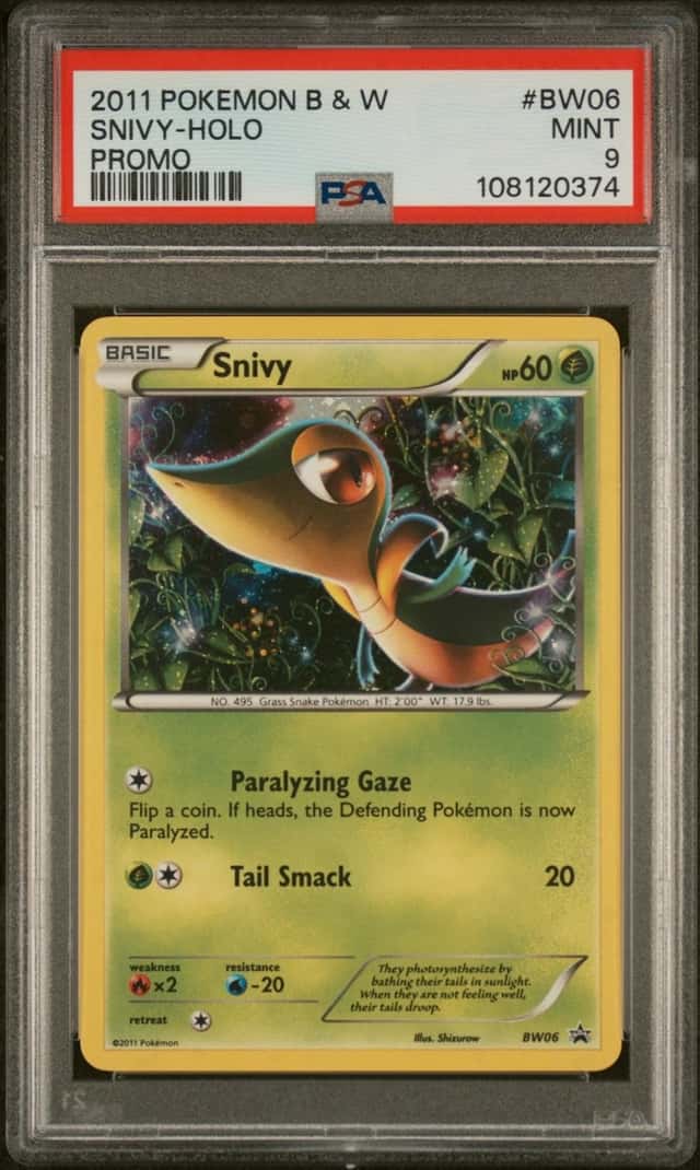 Snivy