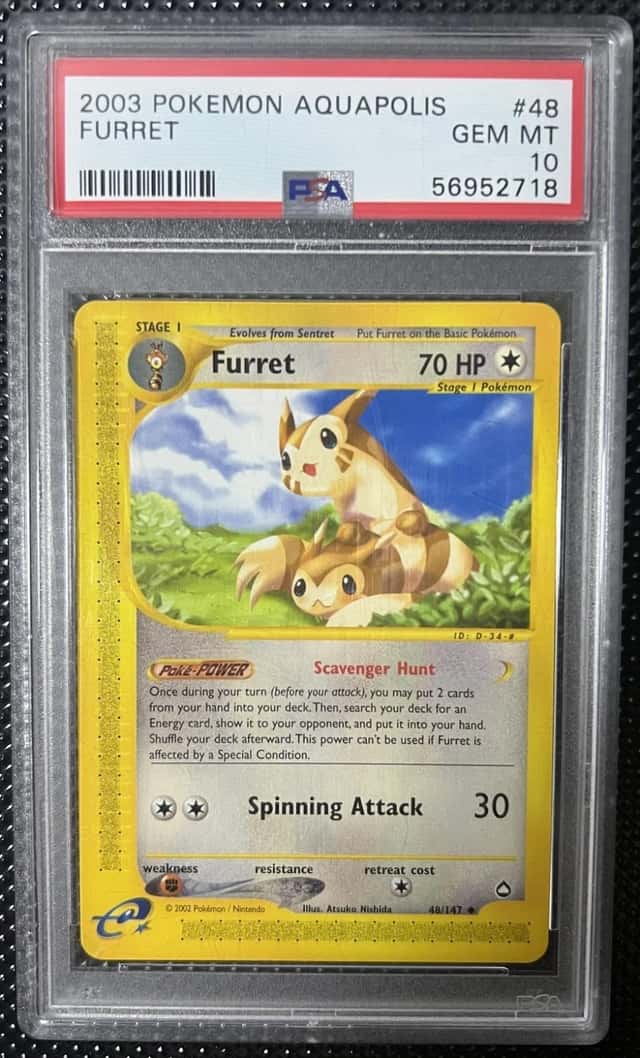 Furret
