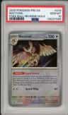 Noctowl