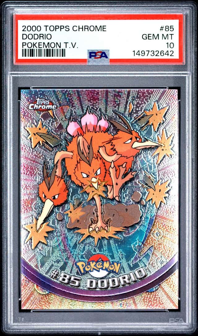 Dodrio