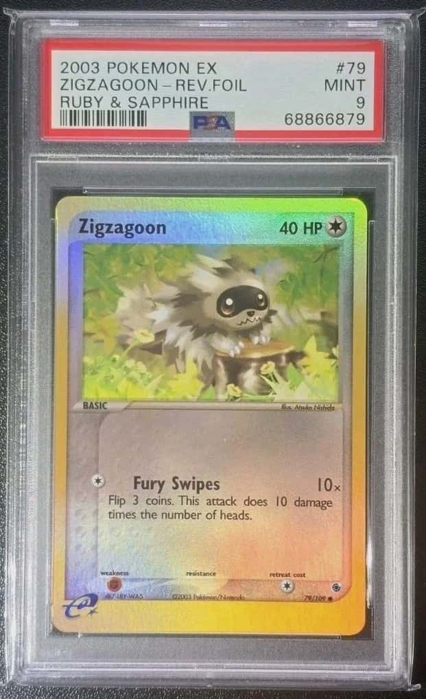 Zigzagoon