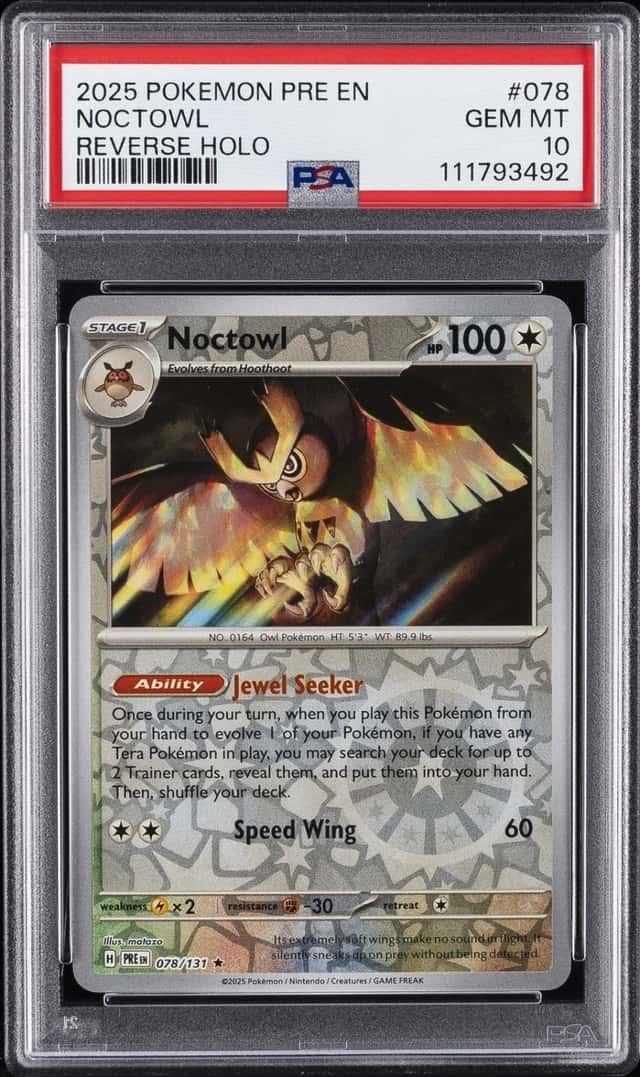 Noctowl