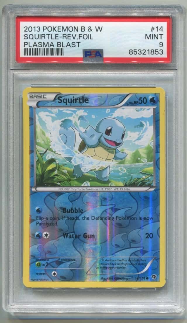 Squirtle