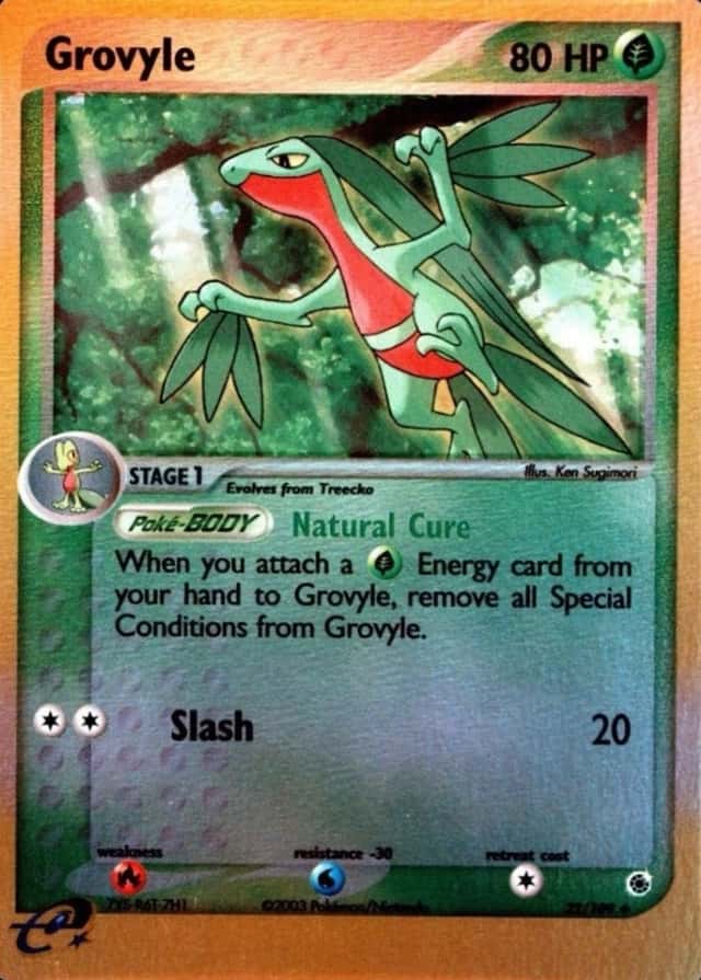 Reverse Holo