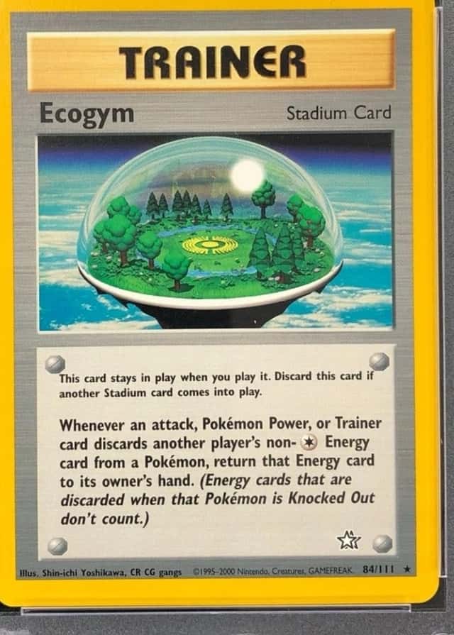 Base / no variant