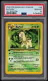 Bayleef