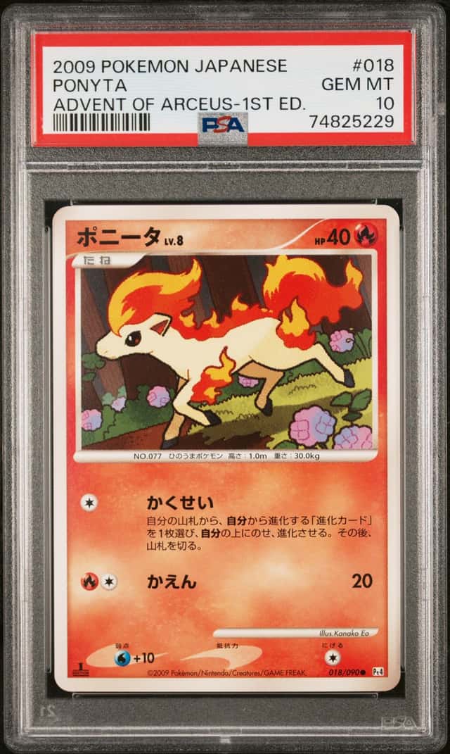 Ponyta