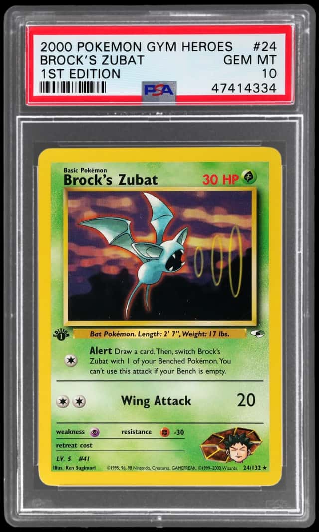 Brock's Zubat