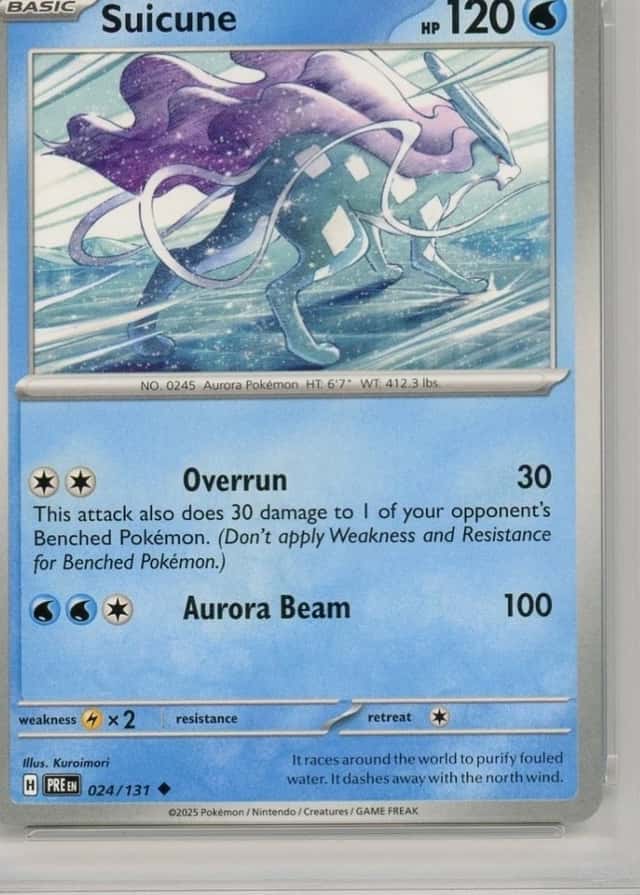 Base / no variant