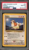 Pidgey