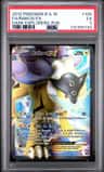 Raikou Ex