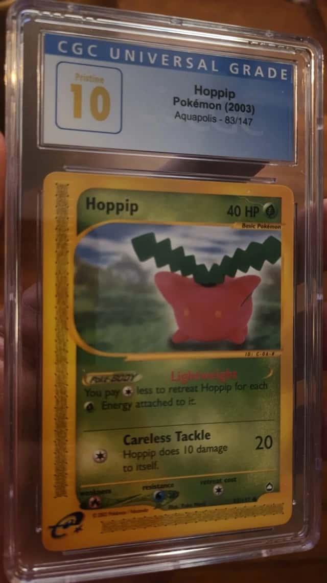 Hoppip