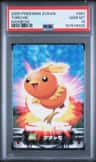 Torchic