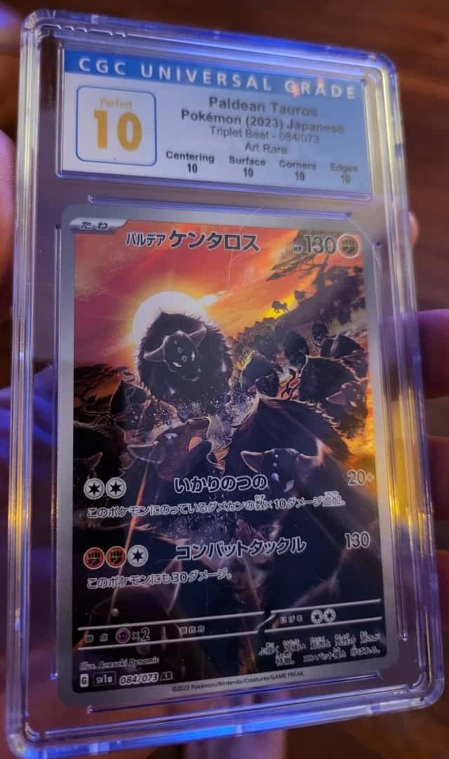 Paldean Tauros