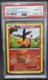 Tepig