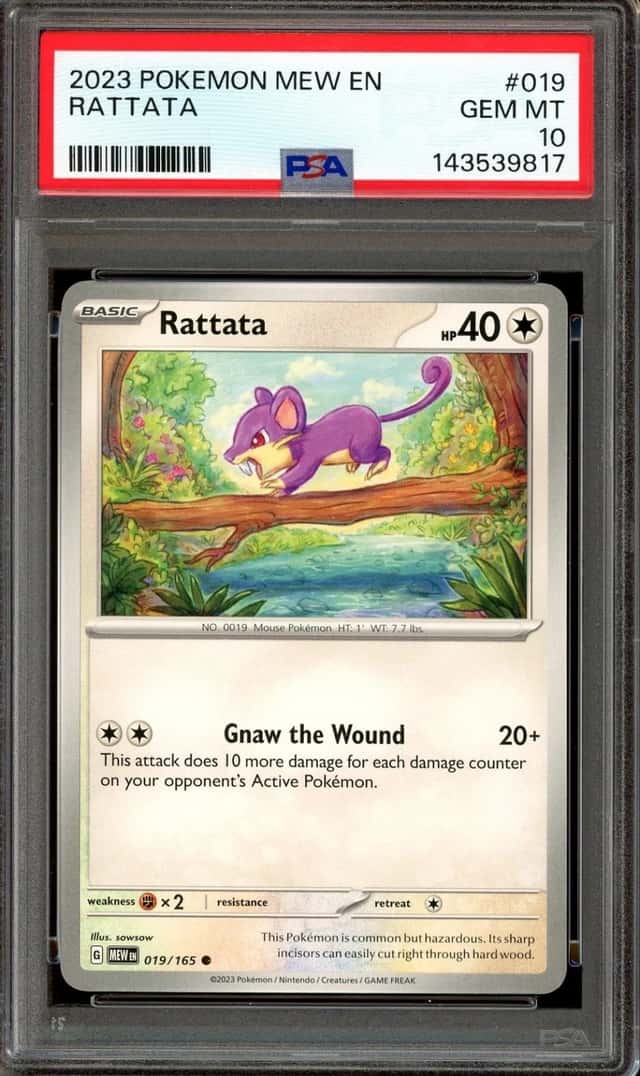 Rattata
