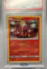 Volcanion