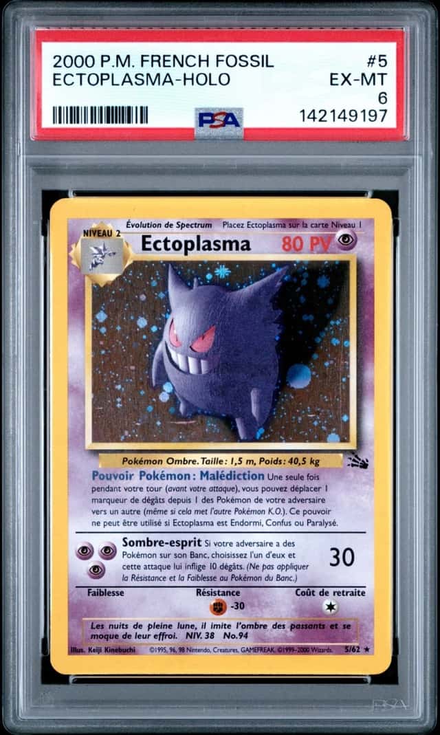 Ectoplasma