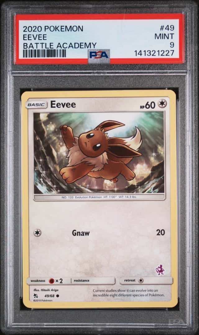 Eevee