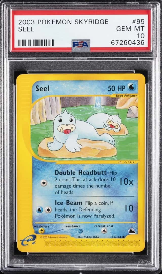Seel