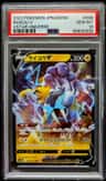 Raikou V