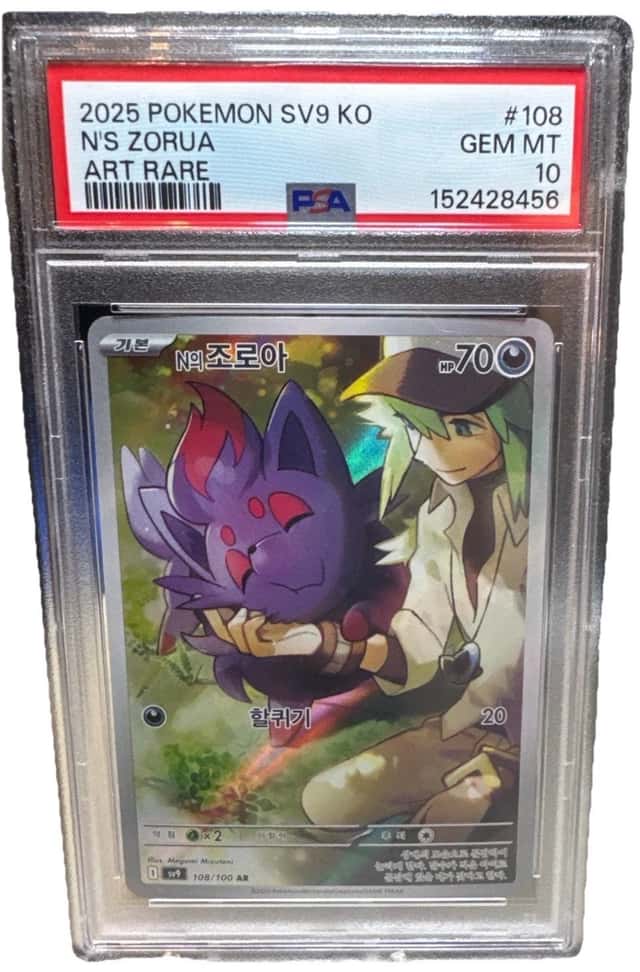 N's Zorua
