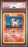 Ponyta