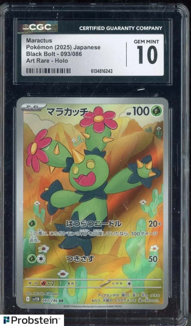 Maractus