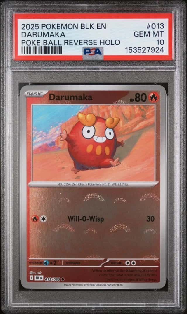 Darumaka