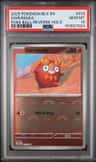 Darumaka