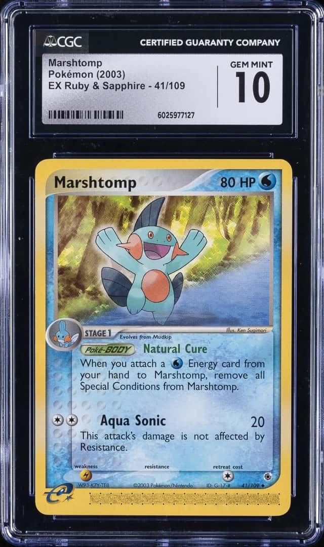 Marshtomp