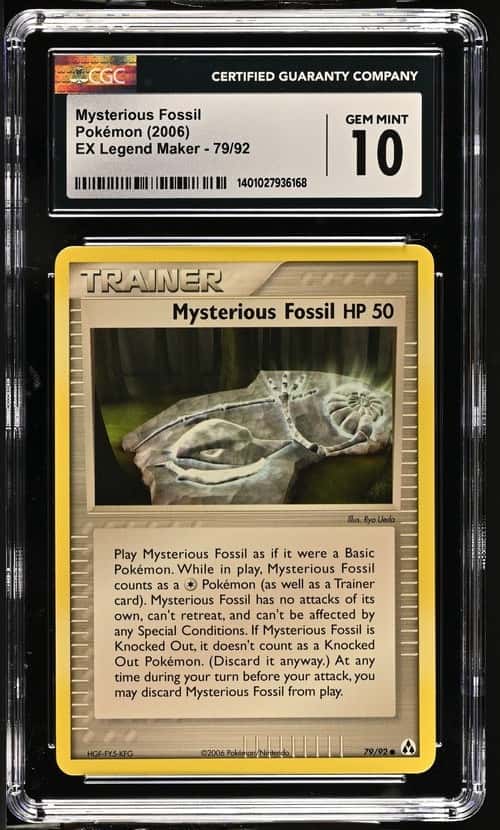 Mysterious Fossil