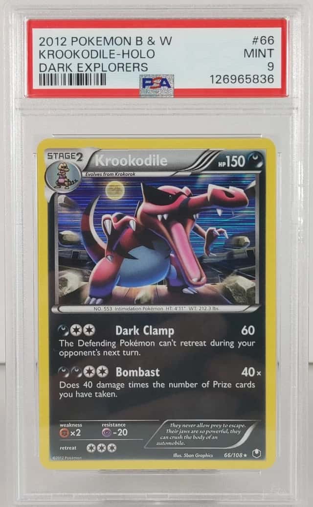 Krookodile