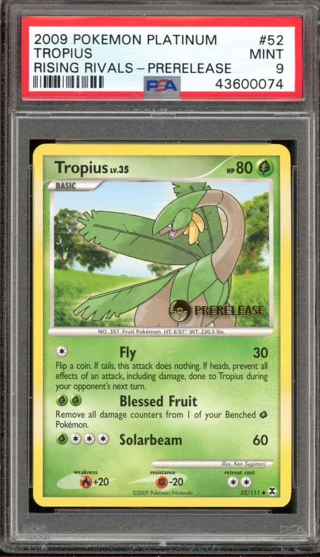 Tropius