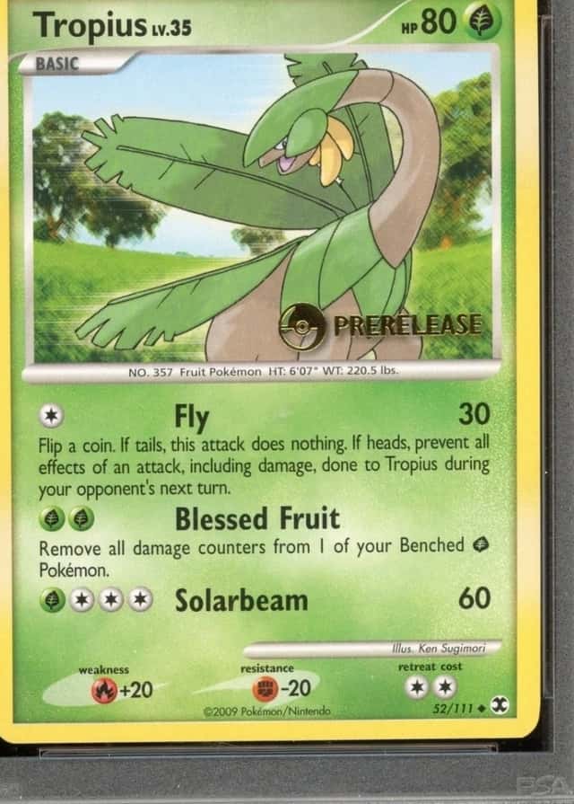 Prerelease