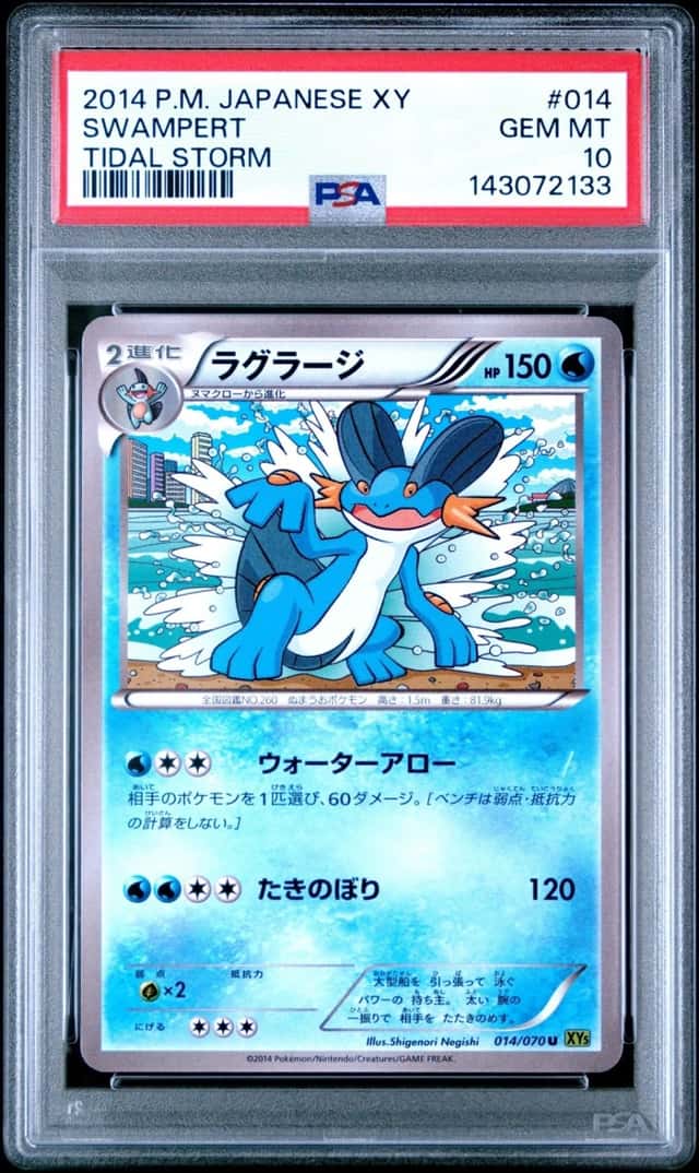 Swampert