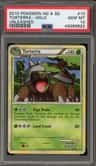 Torterra