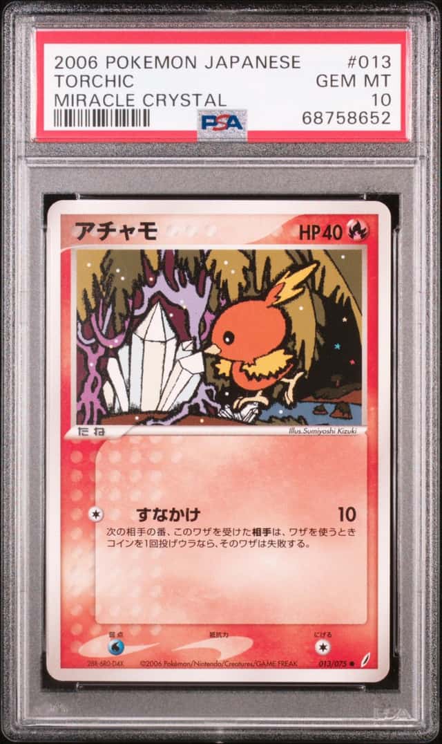 Torchic
