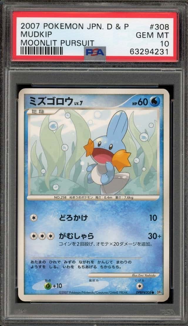 Mudkip