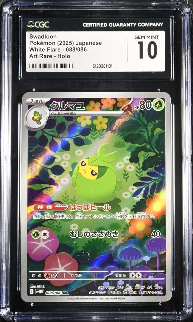 Swadloon