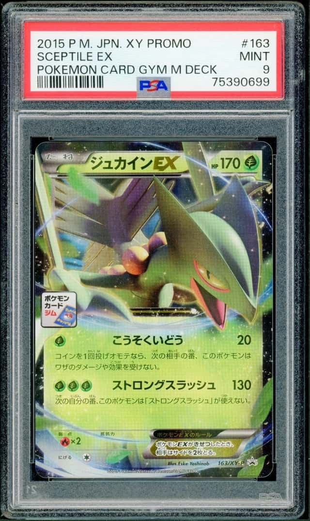 Sceptile EX